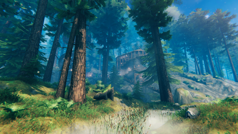 Valheim: Гайд по Черному лесу Valheim: Гайд по Черному лесу
