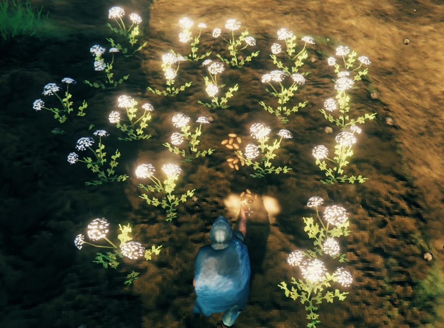Valheim: Пошук насіння та їх посадка (Гайд)