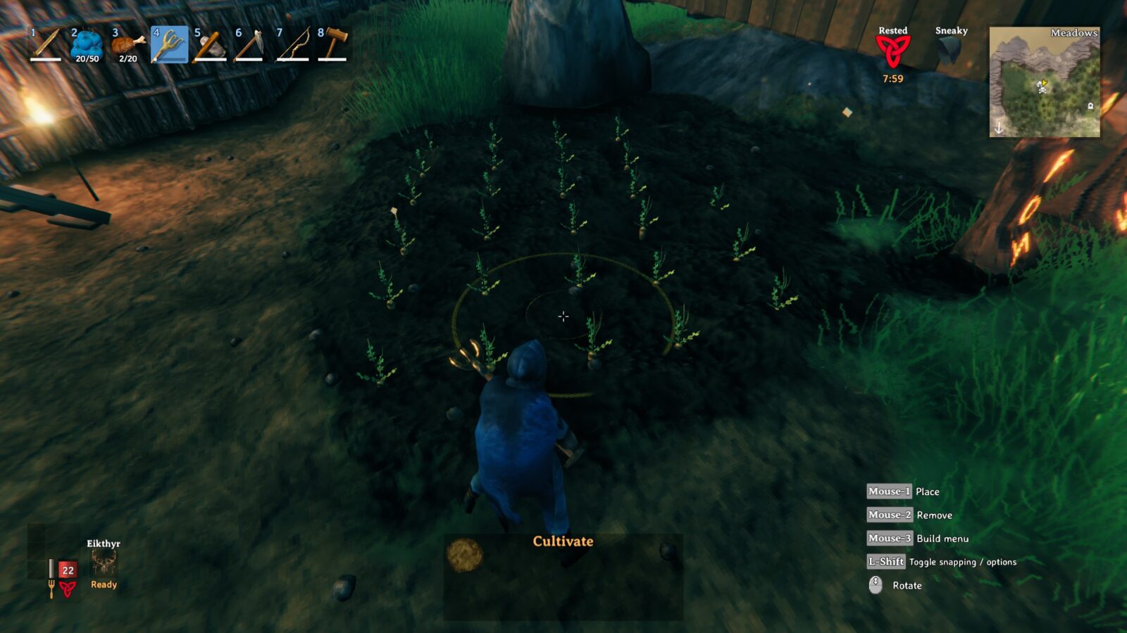 Valheim: Пошук насіння та їх посадка (Гайд)