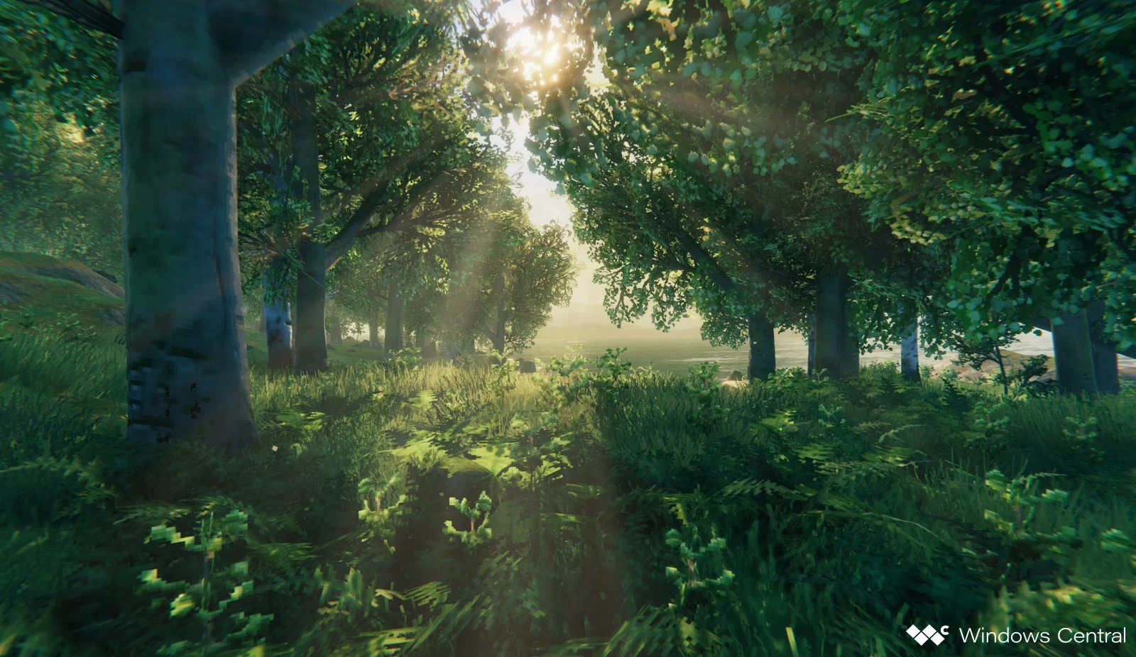Valheim: Гайд по Лугах